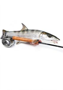 Fishing Kindle Book by Derrydale Press-0